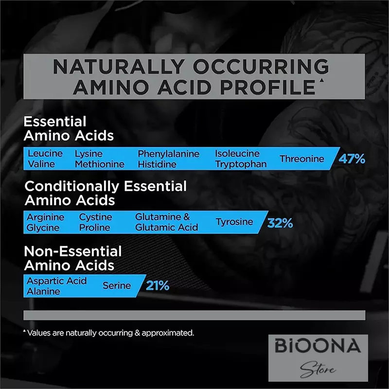 پروتئین وی رول وان (Rule One Whey Protein) مکملی برای ریکاوری سریع‌تر