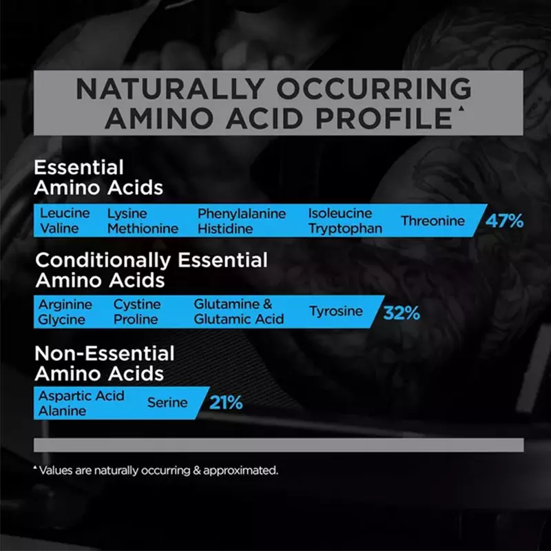 پروتئین وی رول وان اصل